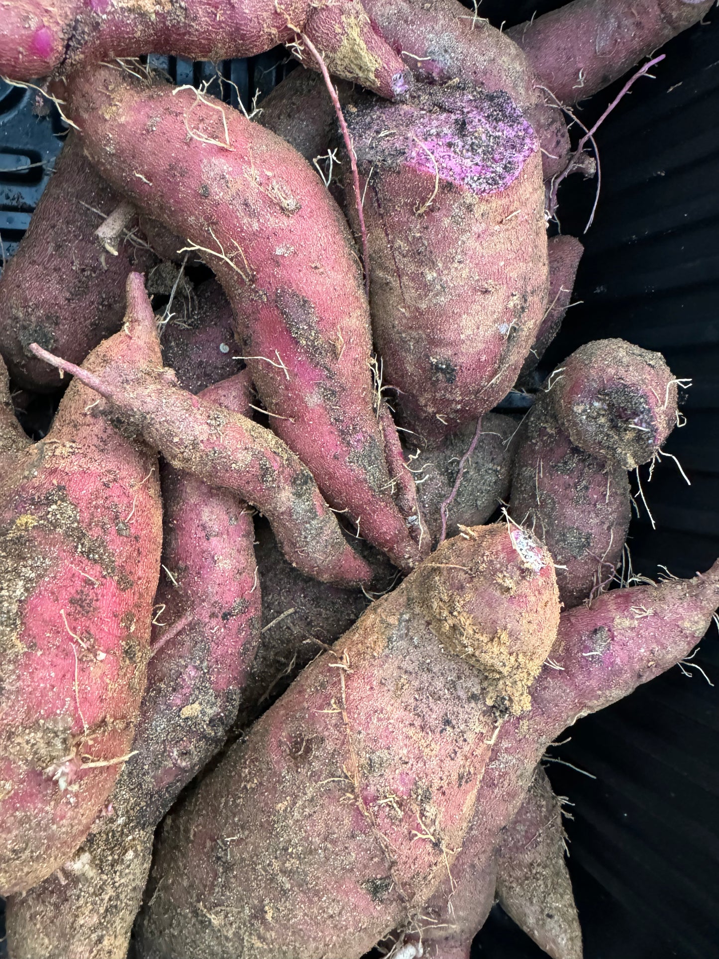 Melon - Purple Sweet Potatoes 2.6-3 lbs