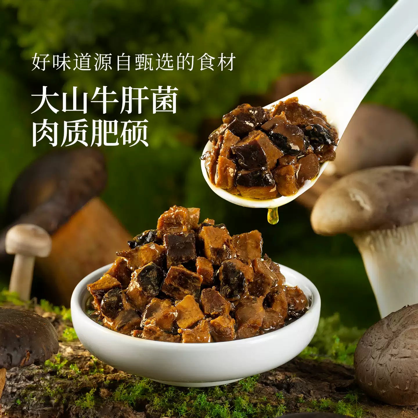 1- Rice Sauce Boletus Wild Mushroom Sauce / Oil Chicken Mushroom