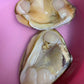 001-活海蚌，约4.8-5磅