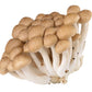 Mushroom - Topaz Mushroom 150g