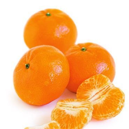 Kumquat - Honey Kumquat 4.8～5 lbs