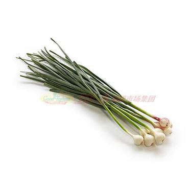 Garlic - Chinese Garlic Sprouts - [about 1 lb]