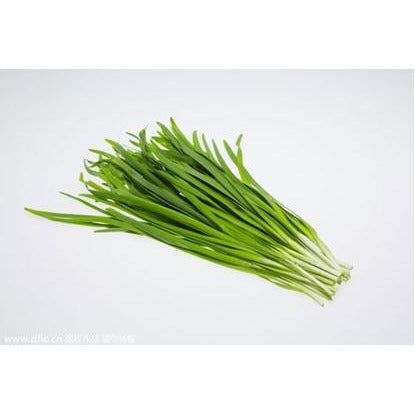 A-Chives [about 1 lb]