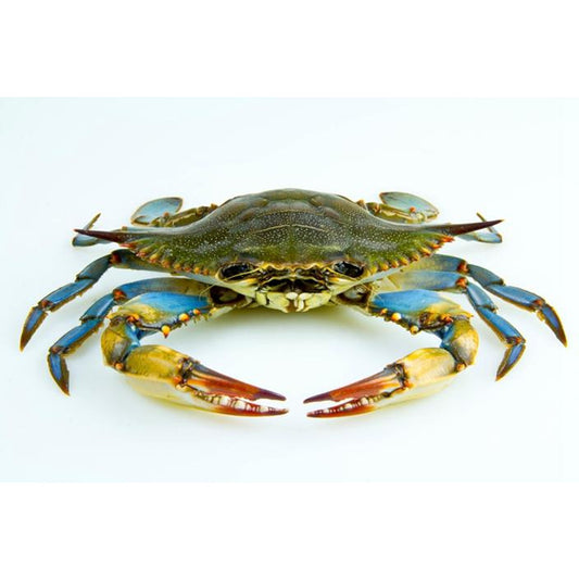 001-螃蟹 (又名兰蟹，约2.75-3 lbs)
