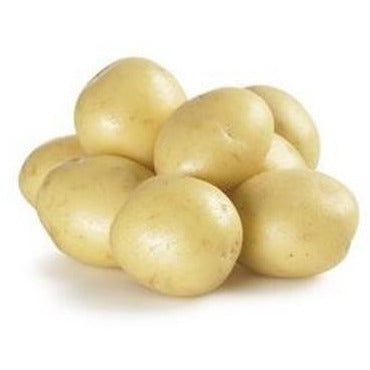 白土豆 (1.4-1.6lbs)