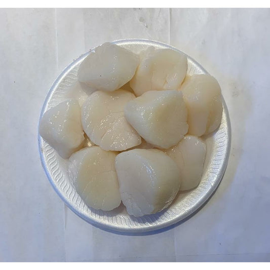 003-Fresh large scallops 0.9-1.1/lb.