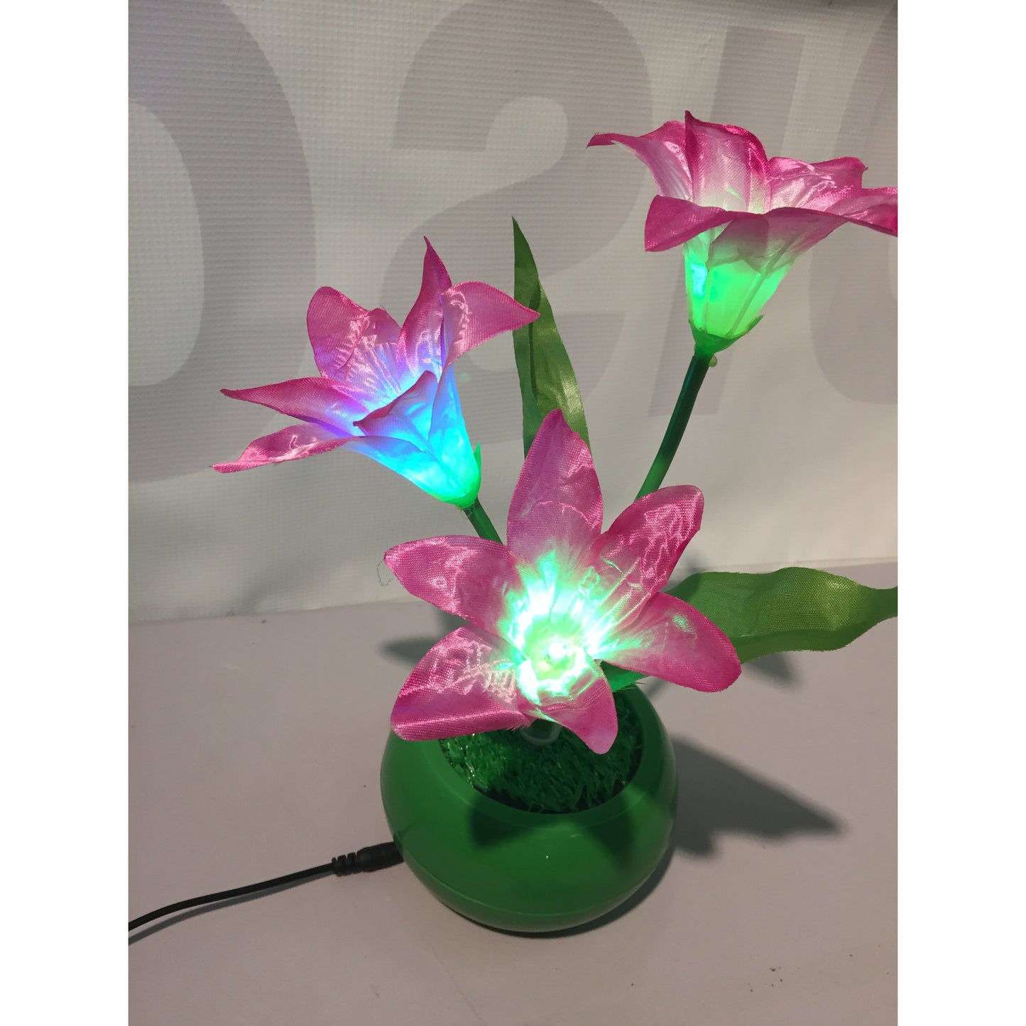 ♥️Tulip - Glowing Vase (#L7a)