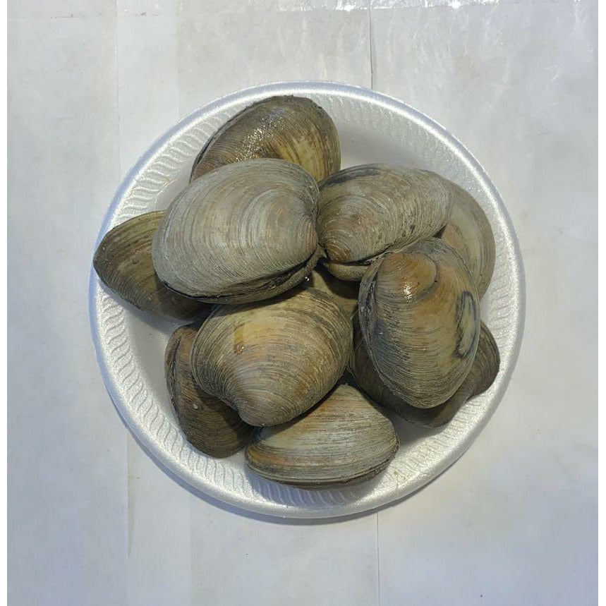 002- live small clams 1.75-2/lb