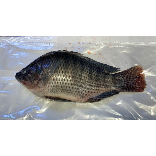 004-Side fish 2.25-2.5/lb