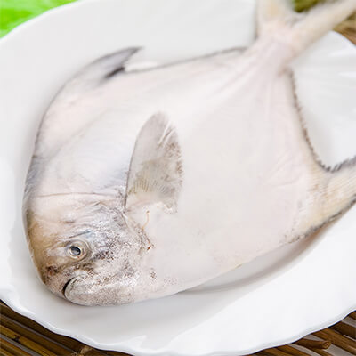004-白鲳魚 (1.3-1.5lbs)