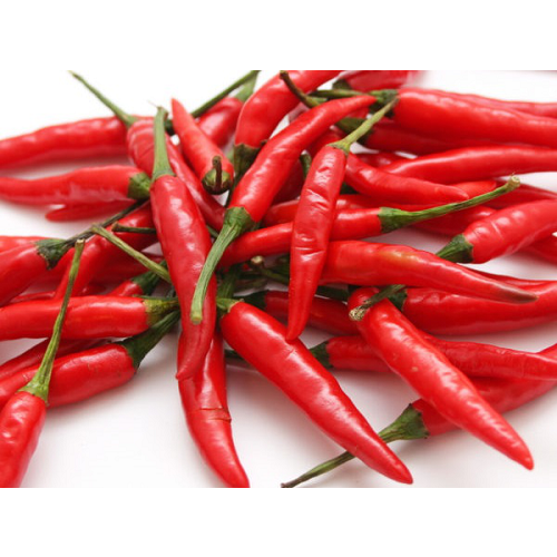 Chili-💥small chili pepper