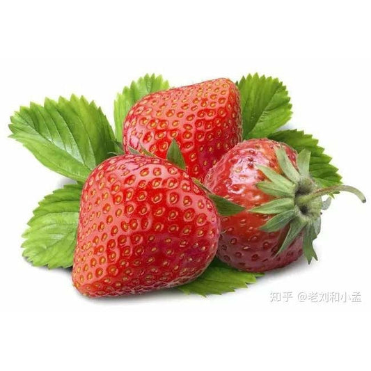 fresh strawberries 16oz