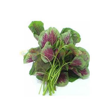 Vegetables - red amaranth seedlings [about 1 lb]