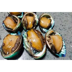 live abalone