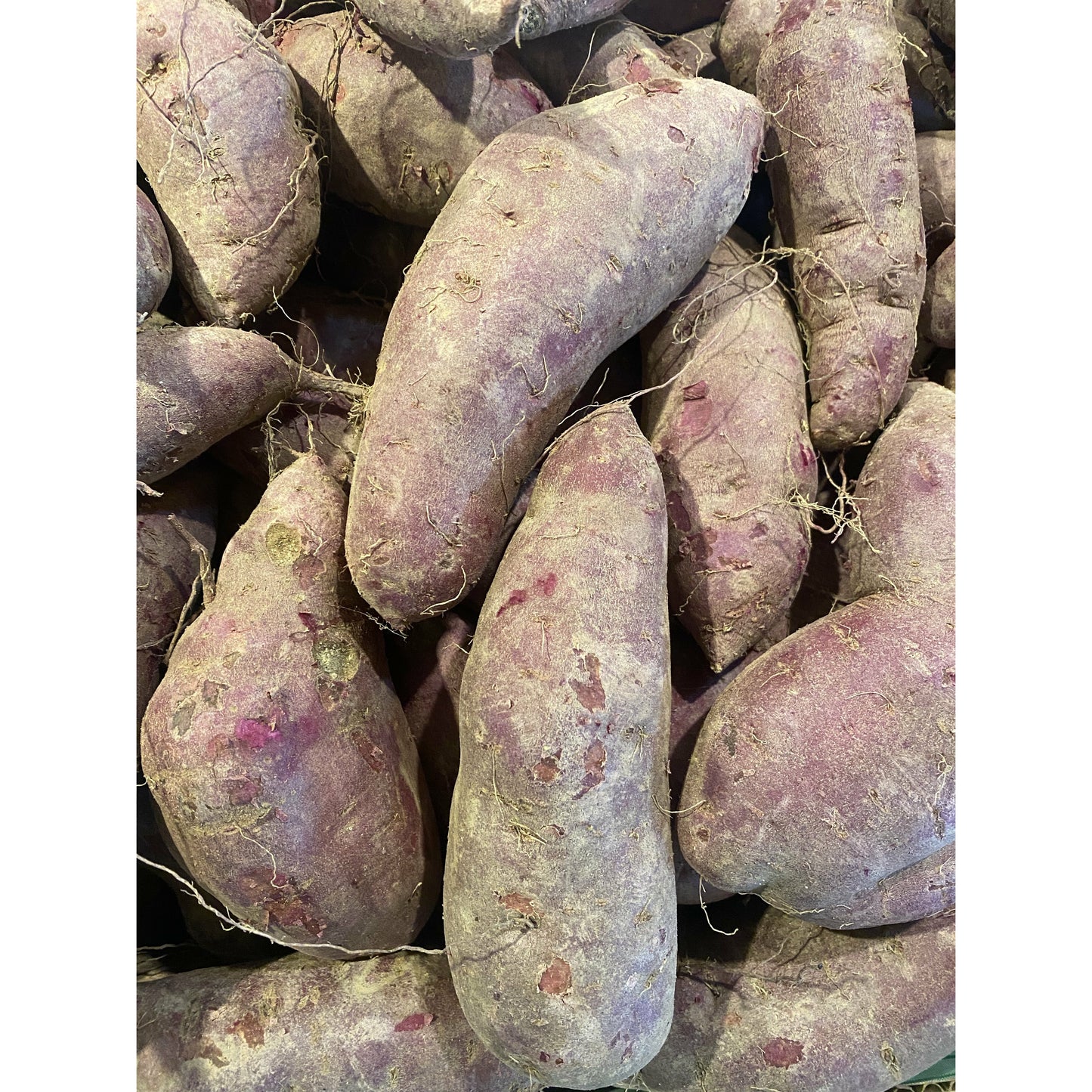 Melon - Purple Sweet Potatoes 2.6-3 lbs