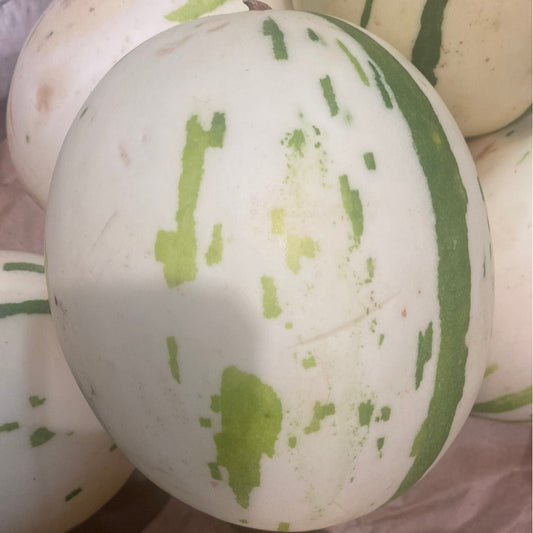1-Meteor Melon [approximately 4 lbs]