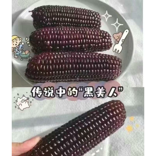 1 ~ organic black corn (reduced fat, vacuum packed,)