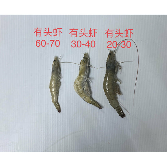 30-40 medium-headed shrimp