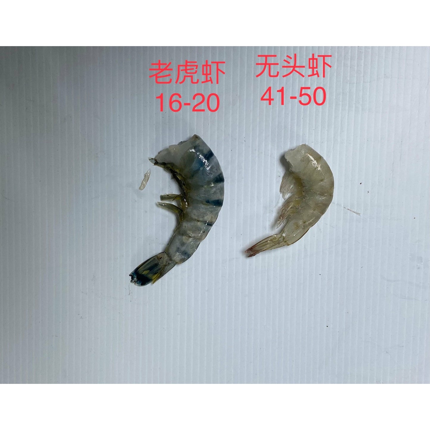 16-20 大老虎蝦  1盒4磅