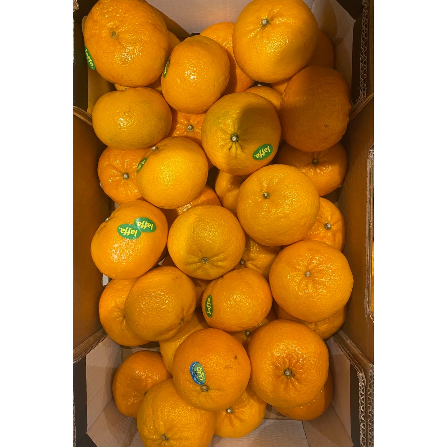 Super sweet orange ~ Jaffa, 4 pounds