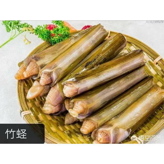 刀蚬(竹蛏)-约2磅 – Ginkgo Market