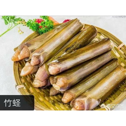Razor clam (bamboo clam) - about 2 pounds