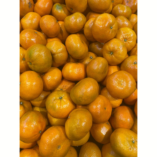 Tangerines [5 lbs]