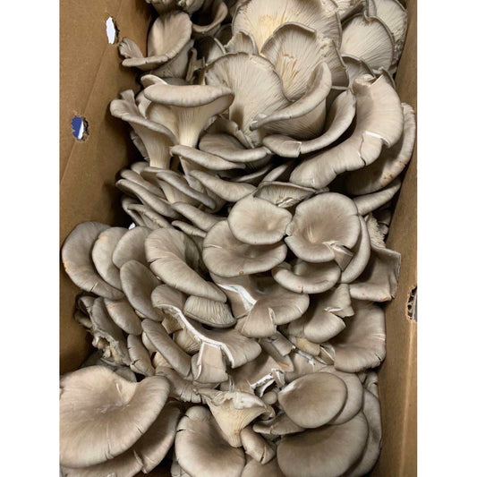 01-Organic Oyster Mushrooms, 1 lb.