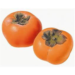 Persimmon