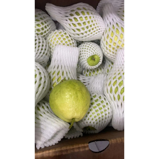 ❤️Florida FL Orchard～Pearl Guava～about 10 lbs/box