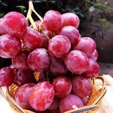 Grapes - Big Red Grapes [about 2 lbs]