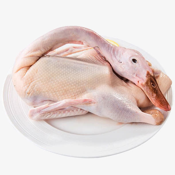 鴨-新鲜鸭 5.5-6磅