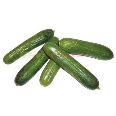 Indian cucumbers [about 1.7-2 lbs]