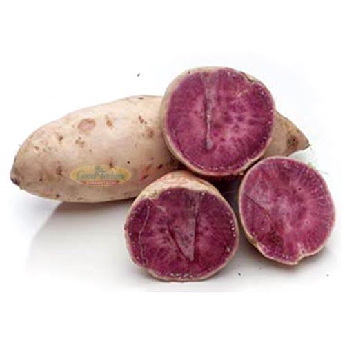 Purple Sweet Potatoes [about 1.7-2 lbs]