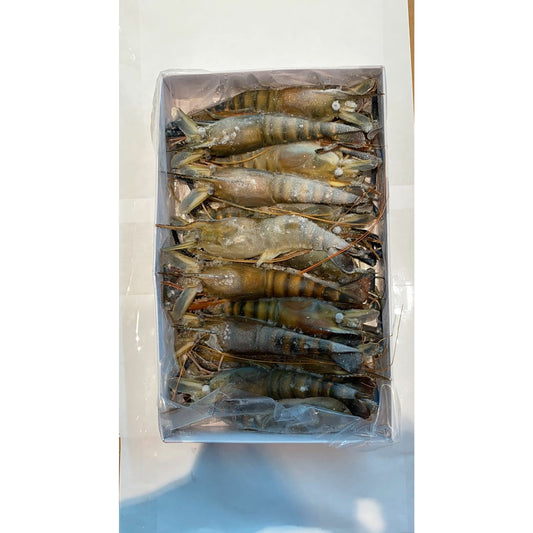 Large Freshwater Prawns 2/lb