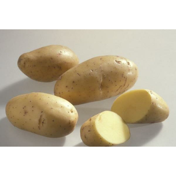 土豆【大约 4磅】